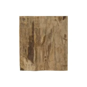 Cast Petrified Wood Wall Tile, Resin, Square Bargain
