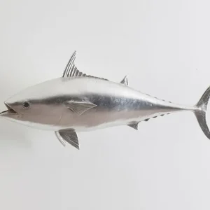 Mackerel Fish, Silver Leaf Viral