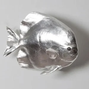 Austrialian Batfish, Silver Leaf Best Choice
