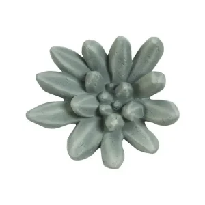 Worldwide Shipping Compactum Succulent Wall Art, Forest