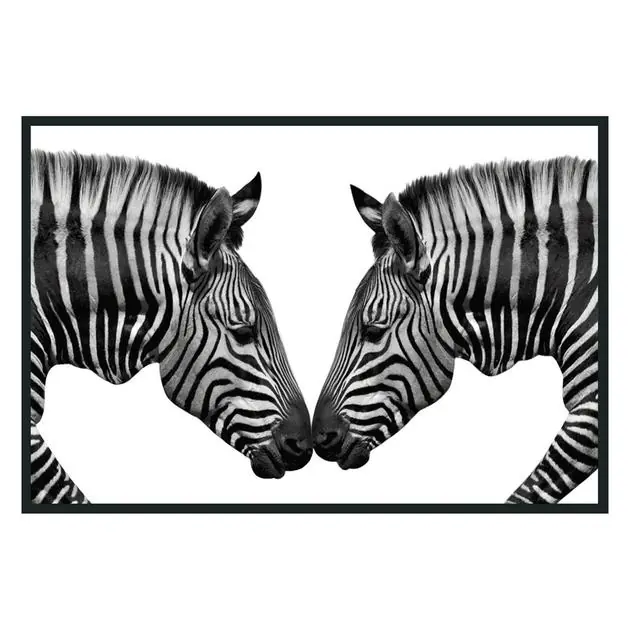 Instant Buy Zebras Photography 48X72