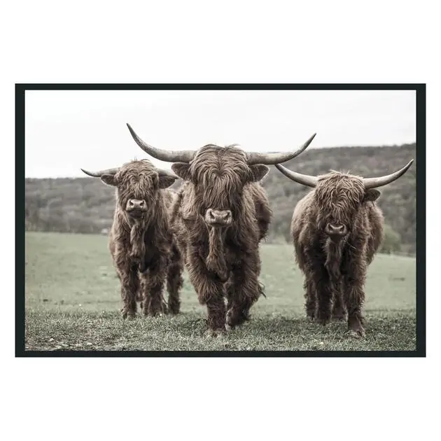 Highland Photography 48X72 Free Returns