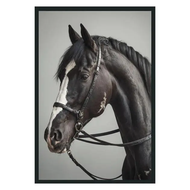 Horse Photography 48X72 Time-Limited