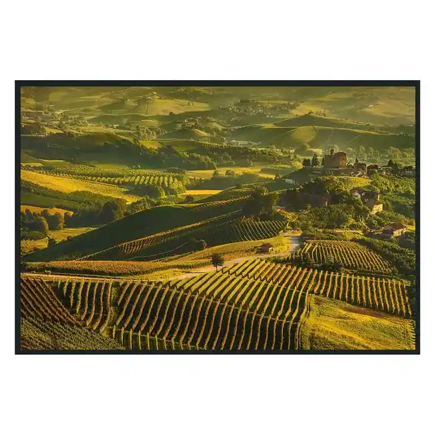 Vinyard Photography 48X72 Bargain