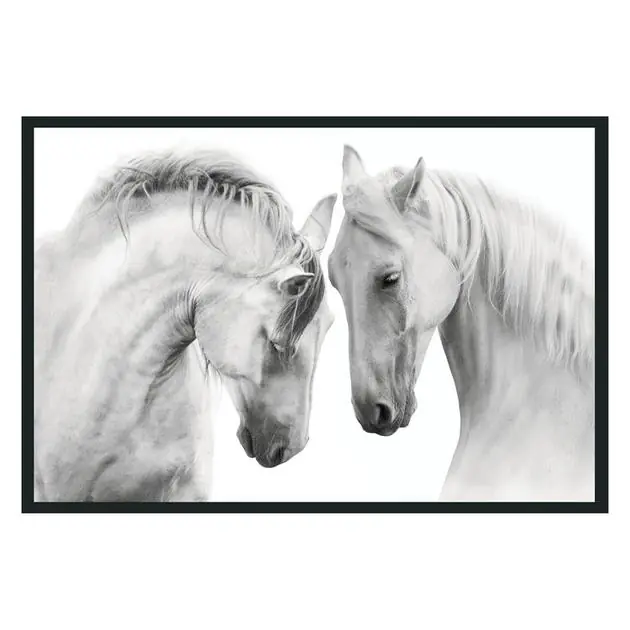 White Horses  Photography Grab Now
