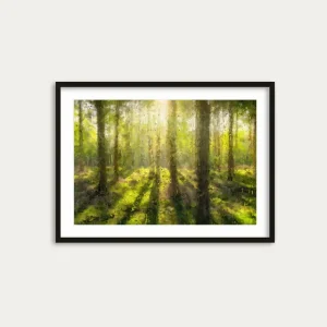The Forest Trees Art Print Premium